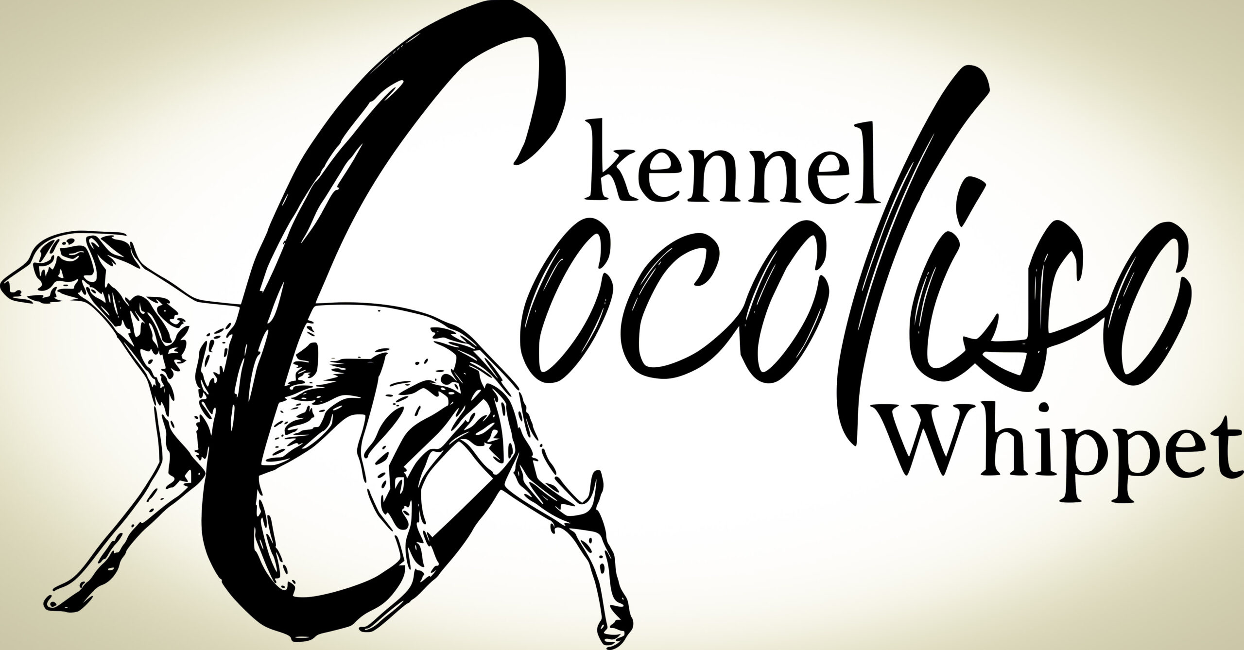 Cocoliso 